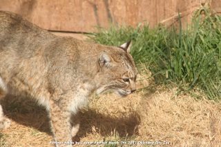 IMG_2507.jpg