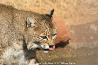 IMG_2511.jpg