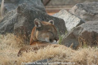IMG_2542.jpg