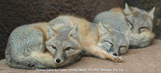 IMG_2544.jpg