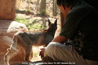 IMG_2659.jpg