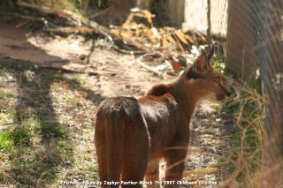 IMG_2663.jpg