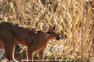 IMG_2674.jpg