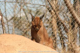 IMG_2685.jpg
