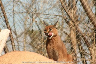 IMG_2695.jpg