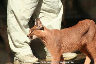 IMG_2696.jpg