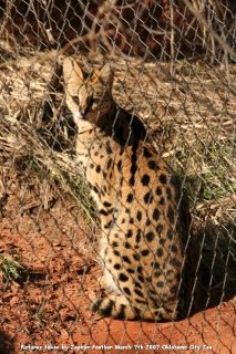 IMG_2717.jpg
