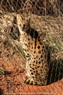 IMG_2718.jpg