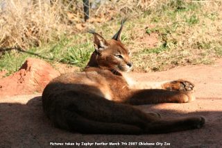 IMG_2730.jpg