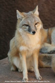 IMG_2747.jpg