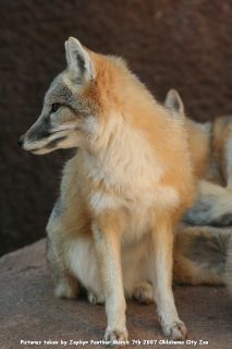 IMG_2748.jpg