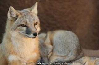IMG_2751.jpg
