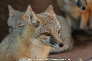 IMG_2756.jpg