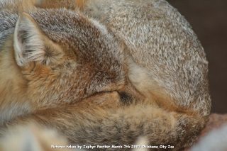 IMG_2775.jpg
