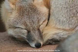 IMG_2776.jpg