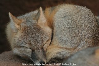 IMG_2777.jpg