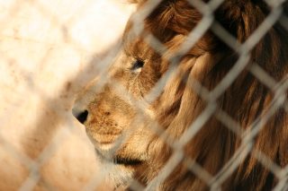 IMG_3569.jpg