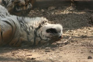 IMG_3604.jpg
