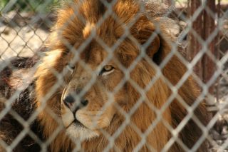 IMG_3623.jpg