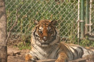 IMG_3694.jpg