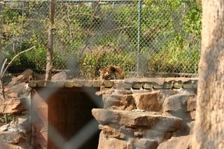 IMG_3730.jpg