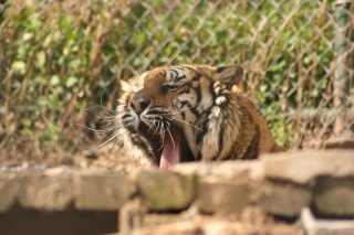 IMG_3733.jpg