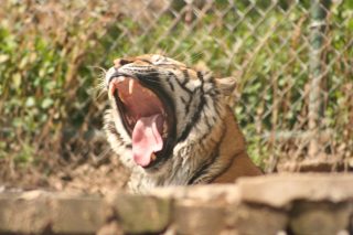 IMG_3736.jpg