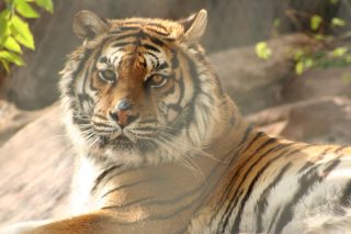 IMG_3756.jpg