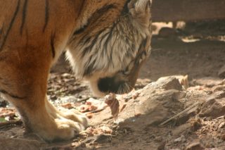 IMG_3762.jpg