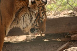 IMG_3772.jpg