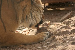 IMG_3791.jpg