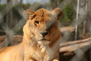 IMG_3838.jpg