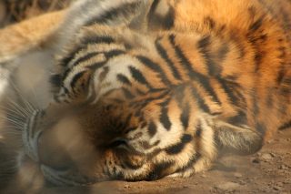 IMG_3862.jpg