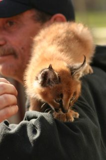 IMG_4187.jpg
