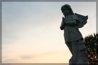 IMG_4339.jpg