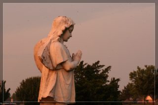 IMG_4354.jpg