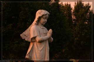 IMG_4355.jpg