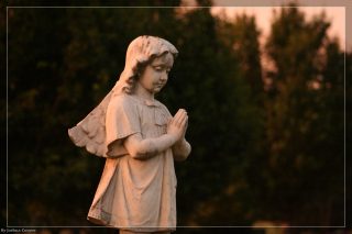 IMG_4356.jpg