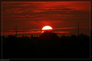 IMG_4369.jpg