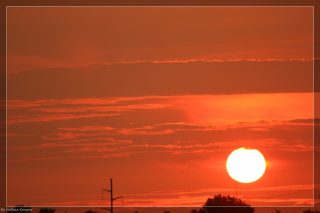 IMG_4374.jpg