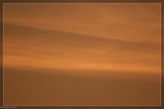 IMG_4375.jpg