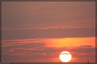 IMG_4376.jpg