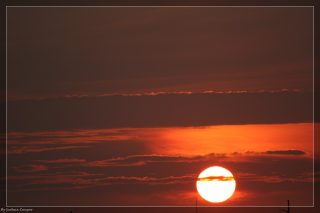 IMG_4377.jpg
