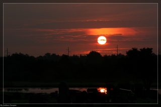 IMG_4378.jpg