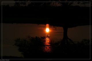 IMG_4385.jpg