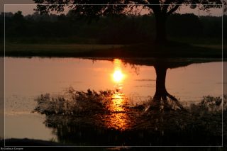 IMG_4387.jpg