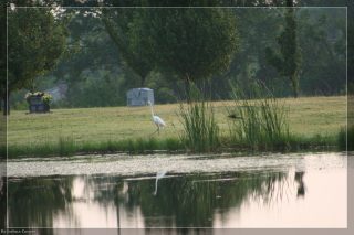 IMG_4389.jpg