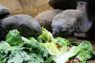 IMG_0309.png