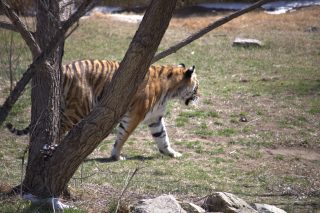 IMG_0345.png