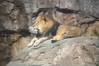 IMG_0387.png